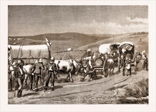 THE REVOLT IN THE TRANSVAAL, SOUTH AFRICA, 1881: SURVIVORS OF BRONKER'S SPRUIT RETURNING TO THE