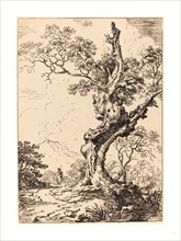 George Samuel (British, active c. 1784  probably 1824 ), Study of an Old Oak Tree, Water on Right,