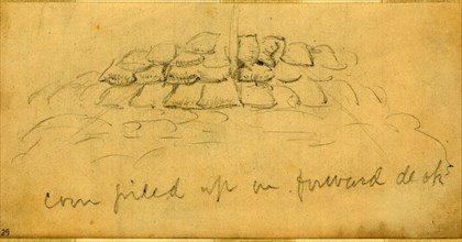 Corn piled up on forward deck, 1860-1865, drawing, 1862-1865, by Alfred R Waud, 1828-1891, an