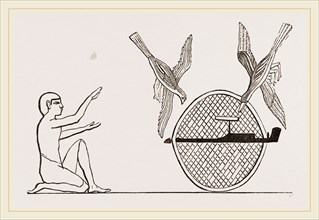 Clap-net of Ancient Egyptians for Bird-catching, Egypt