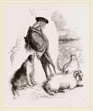 Highland Shepherd and Dog
