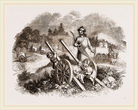 Bullock Carts of the Nimade Tartars
