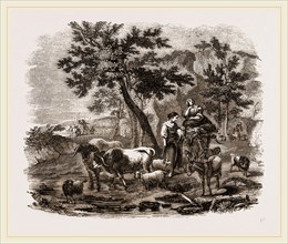 Oriental Landscape and Cattle