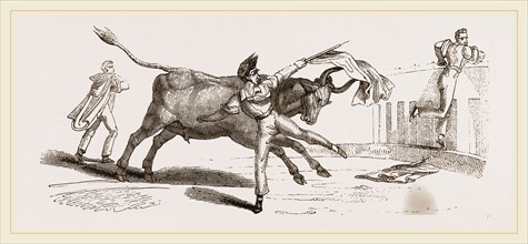 Spanish Bull-fight