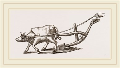 Ancient Plough