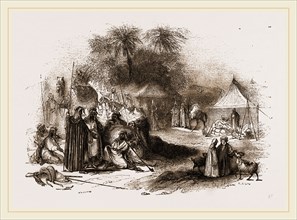 Bedouin Encampment