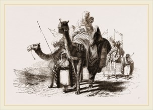 Nlounted Camels