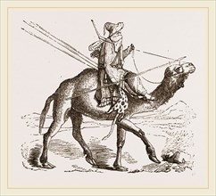 Swift Camel mounted