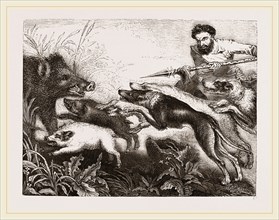 Grand Boar-hunt