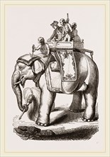 Warren Hastings' Elephant