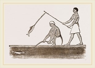 Ancient Egyptians angling, Egypt