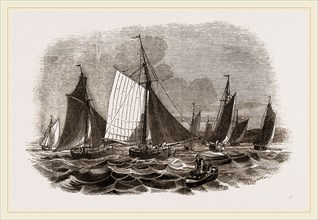 Oyster-boats