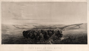 The herd on the move / painted & drawn by W.J. Hays ; printed by Endicott & Co.; Endicott & Co.