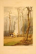 Spring--Burning fallen trees in a girdled clearing--Western scene / engraved by W.J. Bennett N.A.