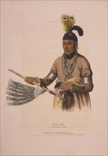 Naw-kaw, a Winnebago chief / drawn, printed & coloured at I.T. Bowen's Lithographic Establishment,
