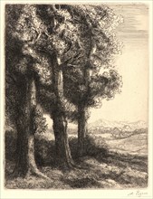 Alphonse Legros (French, 1837 - 1911). The Edge of the Woods (La Liseuse: La Lecture sous les