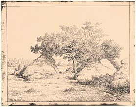 Théodore Rousseau (French, 1812 - 1867). Le Cerisier de la Plante a Biau, 19th century. From