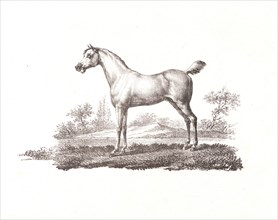 Alois Senefelder (German, 1771 - 1834). A Crayon Drawing, from â€úReceuil Papryographiqueâ€ù, 1820.