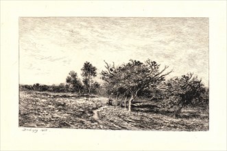 Charles FranÃ§ois Daubigny (French, 1817 - 1878). Apple Trees at Auvers (Pommiers Ã  Auvers), 1877.