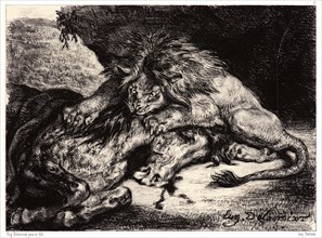 EugÃ¨ne Delacroix (French, 1798 - 1863). Lion Devouring a Horse (Lion Devorant un Cheval), after