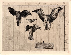 Félix Bracquemond (French, 1833 - 1914). Birds Nailed to a Barn Door (Le Haut d'un Battant de