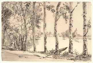Félix Bracquemond (French, 1833 - 1914). Aspens on the Bank of the Seine. Etching. Second state.