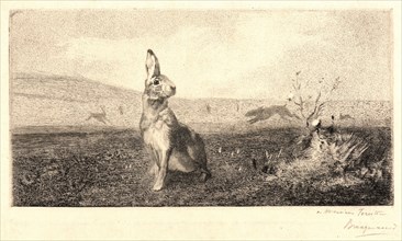 Félix Bracquemond (French, 1833 - 1914). The Hare (Le LiÃ¨vre). Etching.