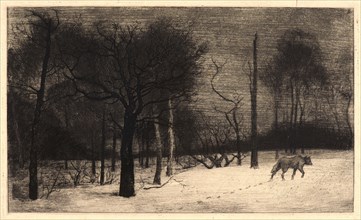 Félix Bracquemond (French, 1833 - 1914). Winter (Hiver, ou le Loup dans la Neige). Etching. Third