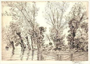 Félix Bracquemond (French, 1833 - 1914). Willows (Les Saules des Mottiaux), 19th century. Etching.