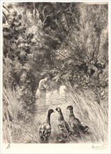 Félix Bracquemond (French, 1833 - 1914). Surprised Ducks (Canards Surpris).