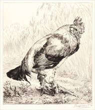 Félix Bracquemond (French, 1833 - 1914). The Old Rooster (Le Vieux Coq). Etching. Fourth state.