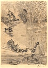 Félix Bracquemond (French, 1833 - 1914). Ducks Playing (Ebats de Canards). Etching.