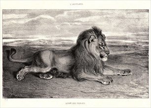 Antoine-Louis Barye (French, 1796 - 1875). Lion de Perse, 1832? Lithograph. second or third.