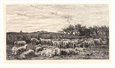Charles FranÃ§ois Daubigny (French, 1817 - 1878). The Sheepfold, Morning (La Grand Parc Ã  Moutons,