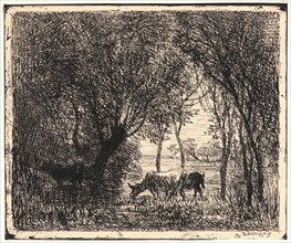 Charles FranÃ§ois Daubigny (French, 1817 - 1878). Vaches sous Bois, 1862. From Quarante