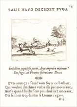 Jacques Callot (French, 1592 - 1635). Une Lionne et son Lionceau Poursuivis par des Chasseurs, 17th