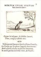 Jacques Callot (French, 1592 - 1635). La Lionne Appelant son Lionceau, 17th century. From The Life