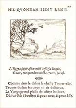 Jacques Callot (French, 1592 - 1635). Tourterelle Volant dans le Desert, 17th century. From The