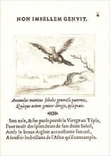 Jacques Callot (French, 1592 - 1635). L'Aigle et L'Aiglon, 17th century. From The Life of the