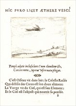 Jacques Callot (French, 1592 - 1635). L'Oisseau de Paradis, 17th century. From The Life of the