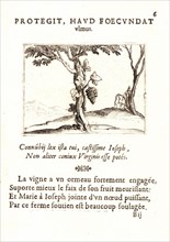 Jacques Callot (French, 1592 - 1635). Le Cep de Vigne, 17th century. From The Life of the Virgin in