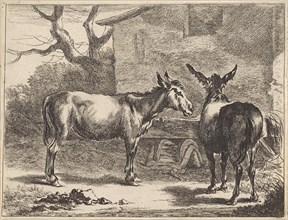 Two donkeys in a manger, Jan de Visscher, Nicolaes Pietersz. Berchem, 1650 - 1701