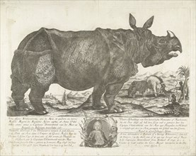 The rhinocerus Clara, 1741, print maker: H. Oster, Anton August Beck, Johann Georg Schmidt, 1747