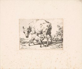 Goat suckling her young, print maker: Reinier Vinkeles, Adriaen van de Velde, 1762