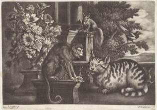 Monkey, cat, squirrel and magpie, Jan Griffier I, Francis Barlow, Pierce Tempest, 1667-1717