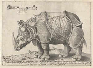 The Rhinoceros, Enea Vico, Albrecht DÃ¼rer, 1533 - 1567
