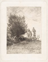 Landscape with cow at tree, Willem Steelink (II), 1866-1928, print maker: Willem Steelink II, 1866