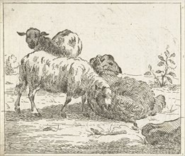 Three sheep, Jan Matthias Cok, 1735 - 1771