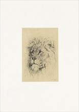 Head of a lion, Frederick Willem Zurcher, 1845-1894