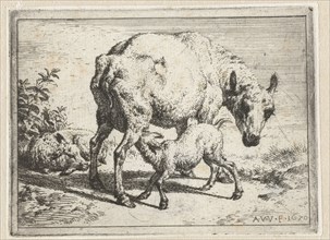 Ewe with two lambs, Adriaen van de Velde, 1670